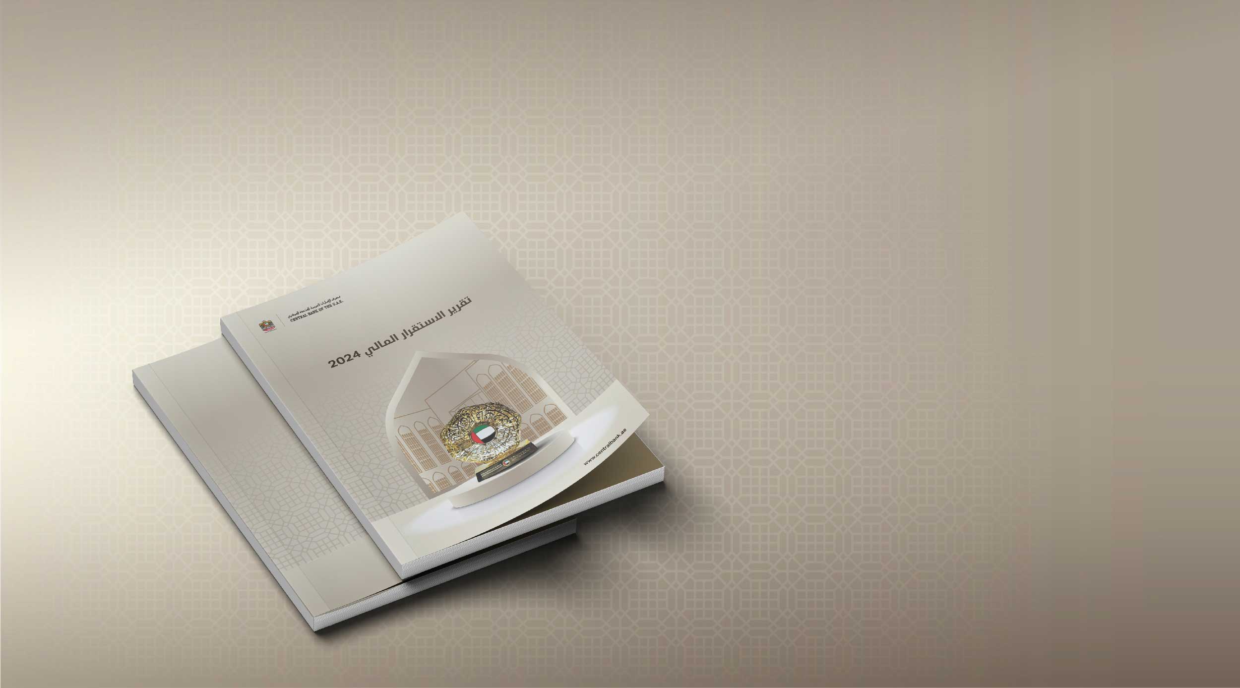 تقرير الاستقرار المالي لعام 2024